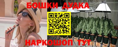 гидра Заволжье