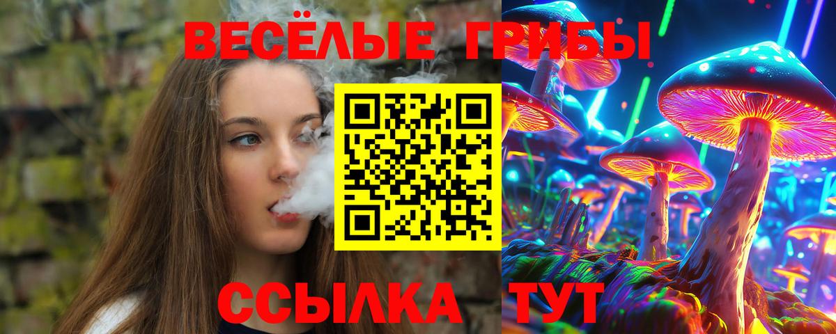Галлюциногенные грибы Cubensis Евпатория