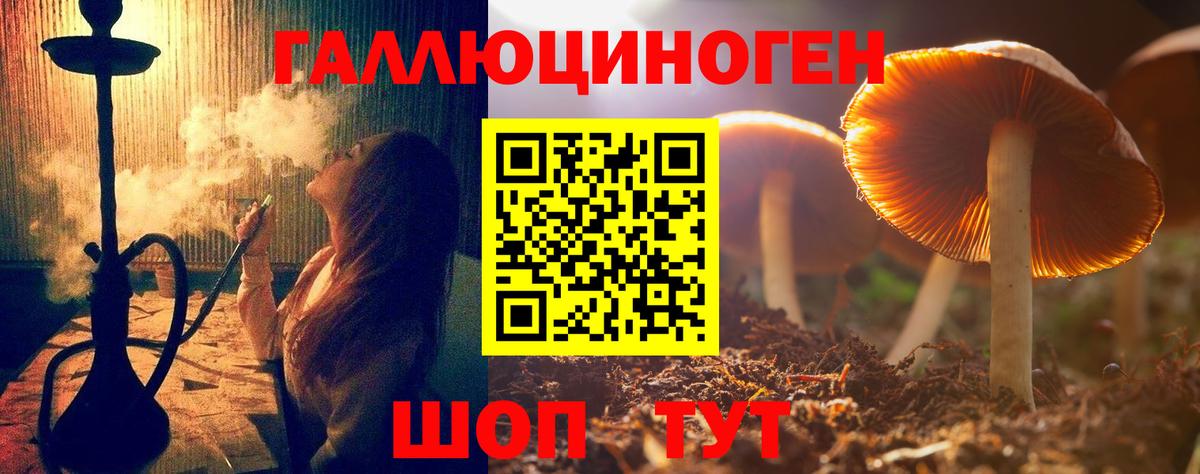 Псилоцибиновые грибы мицелий  Вход с VPN  Евпатория 